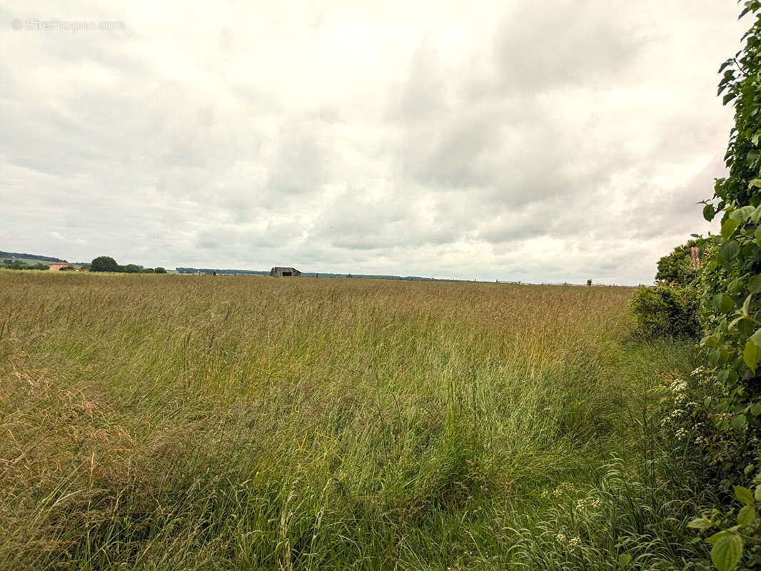 Terrain à JAUNAY-CLAN