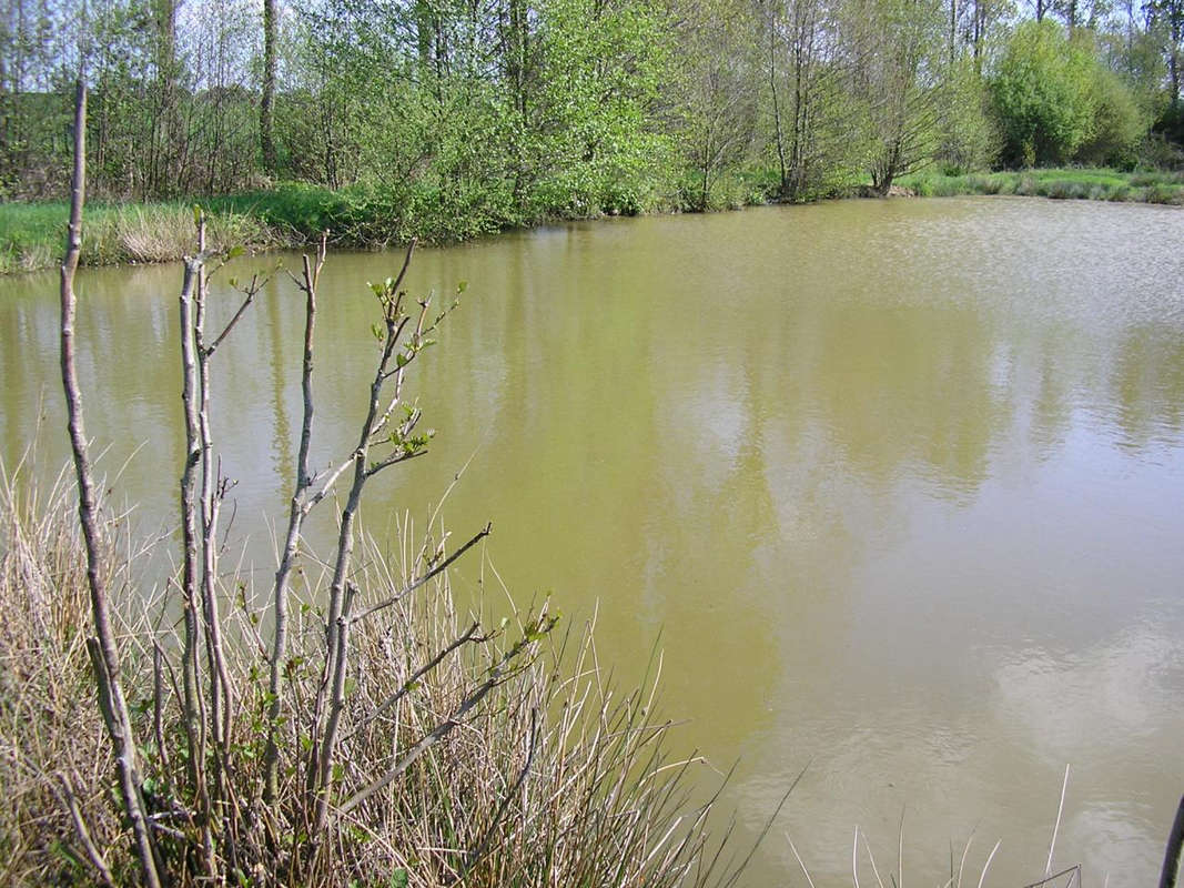 Terrain à SEGRE