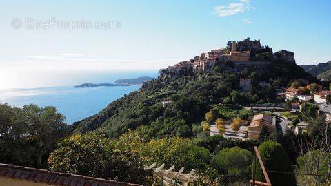 Terrain à EZE