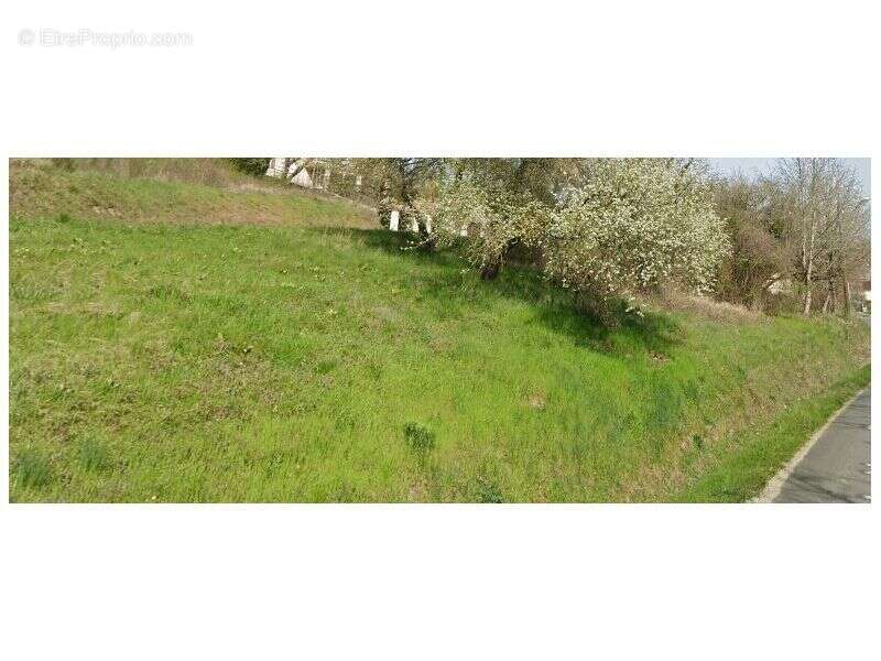 Terrain à VILLENEUVE-SUR-YONNE