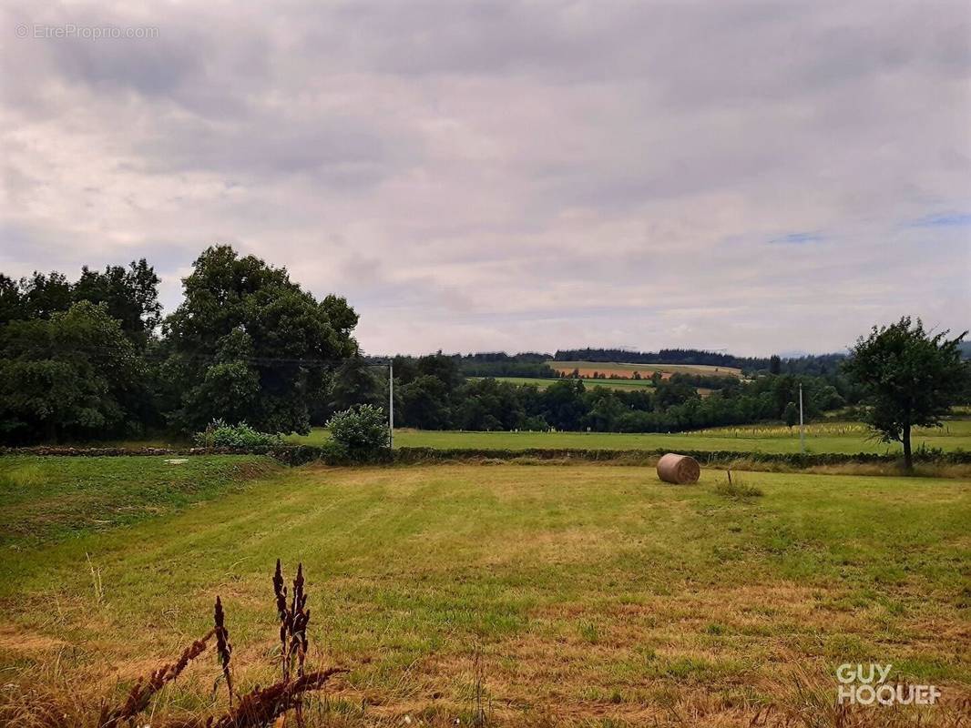 Terrain à ROIFFIEUX