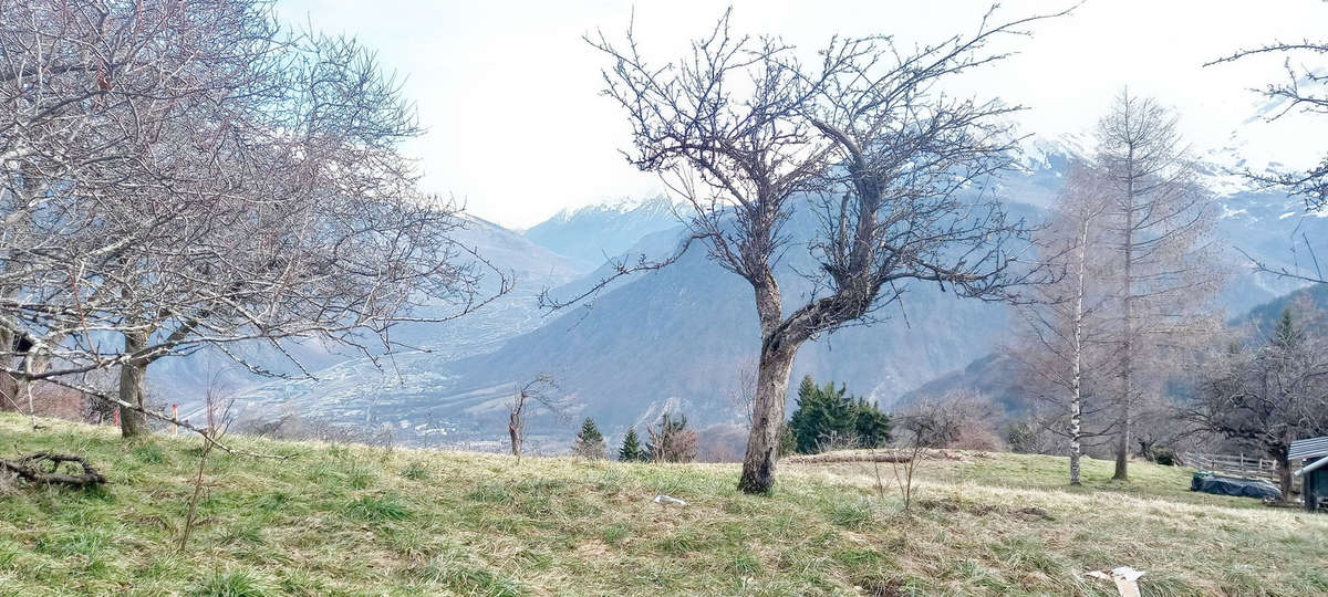 Terrain à JARRIER