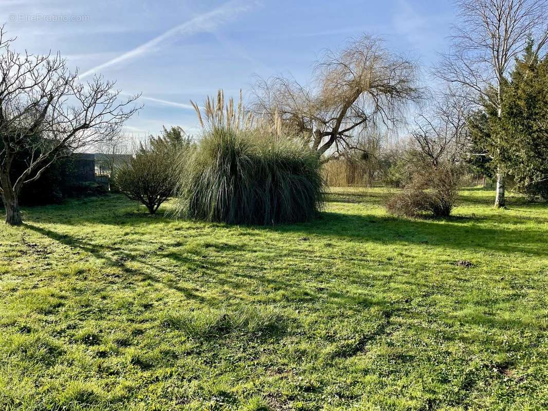 terrain de l&#039;ensemble immobilier - Appartement à SAUMUR