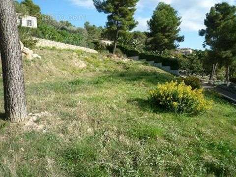 Terrain à MOUGINS