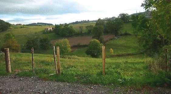 Terrain à SAINT-FORGEUX