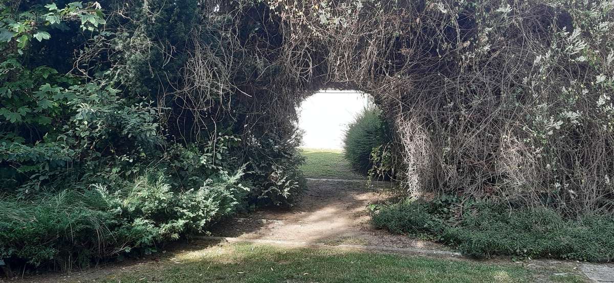 JARDIN  - Appartement à REIMS