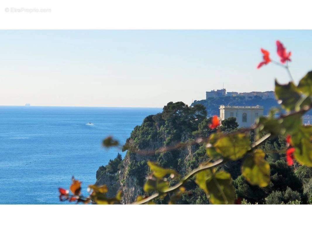 Appartement à ROQUEBRUNE-CAP-MARTIN