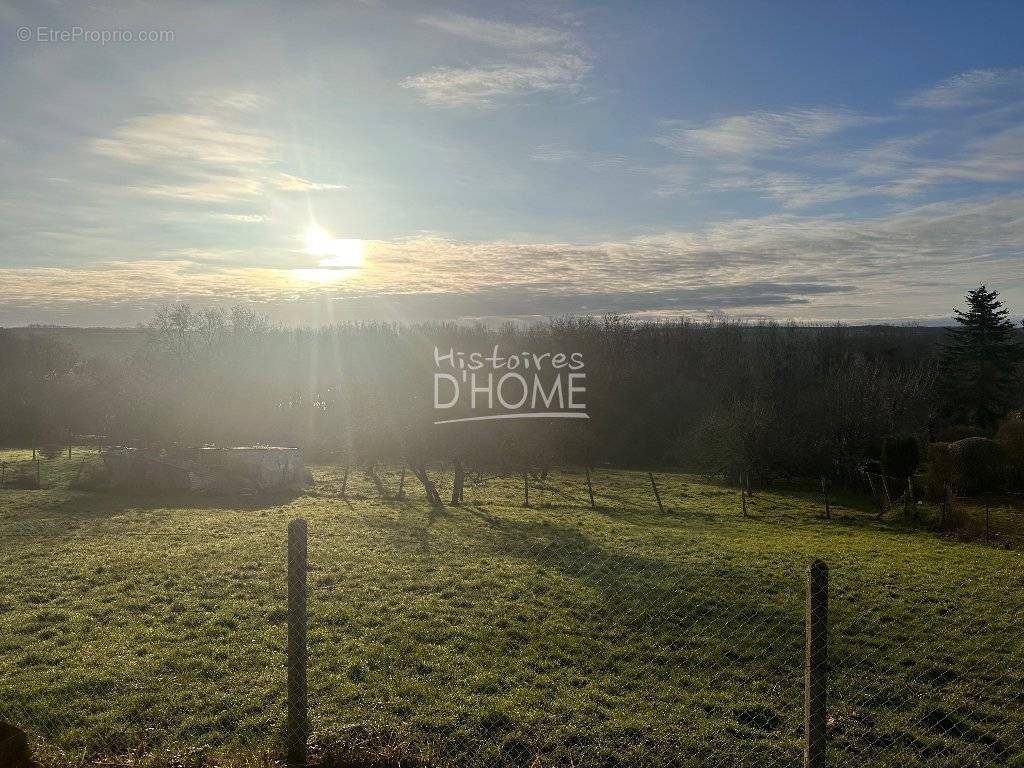 Terrain à LA FERTE-GAUCHER