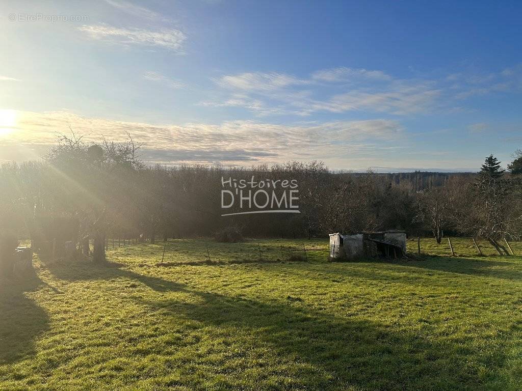 Terrain à LA FERTE-GAUCHER