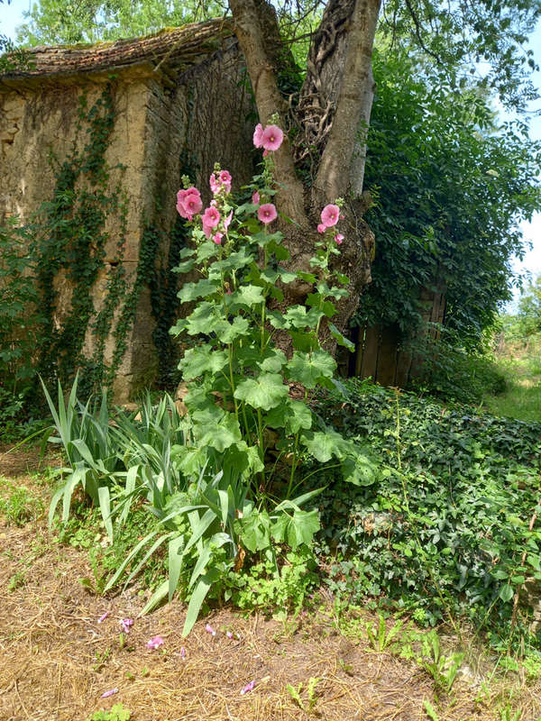 Maison à PARISOT