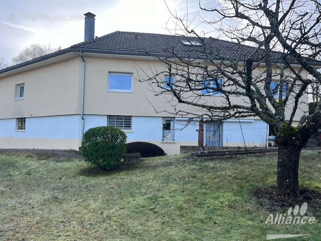 Maison à MONTBELIARD