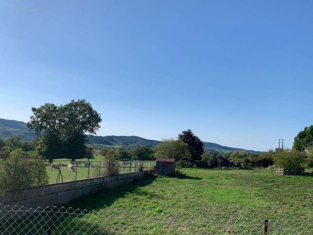 Terrain à SAINT-FORGEUX-LESPINASSE