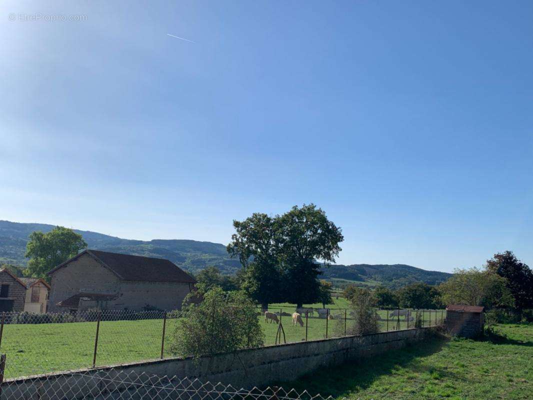 Terrain à SAINT-FORGEUX-LESPINASSE