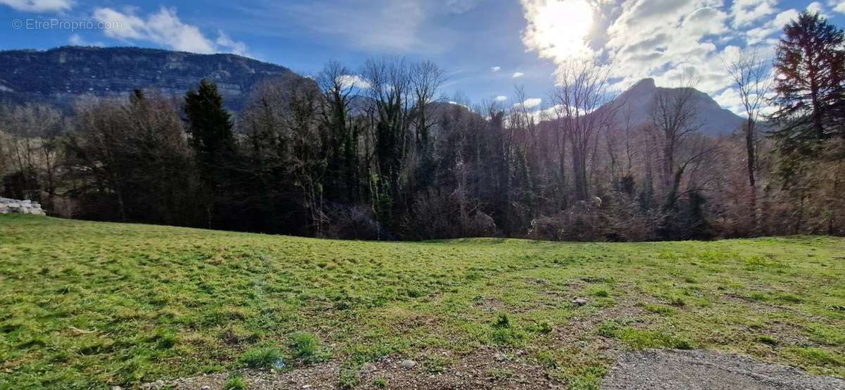 Terrain à POMMIERS-LA-PLACETTE