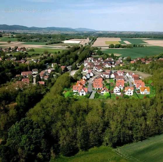 Terrain à RIEDSELTZ