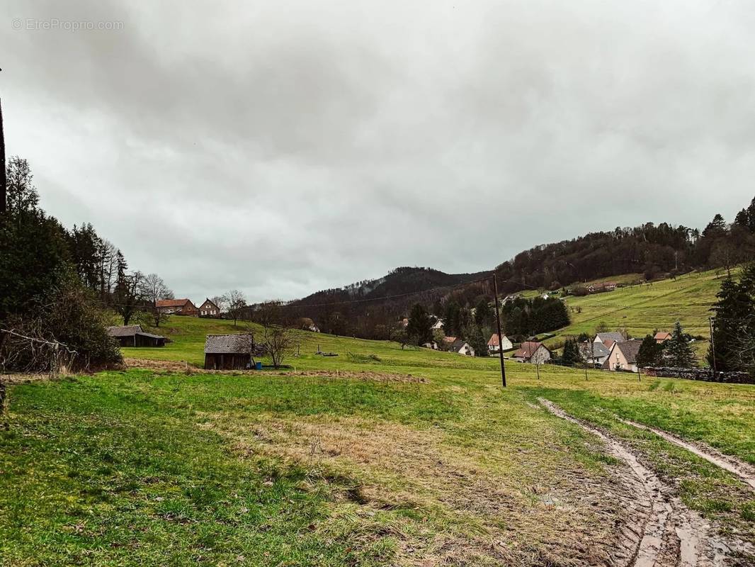 Terrain à WINDSTEIN