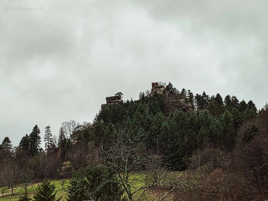 Terrain à WINDSTEIN