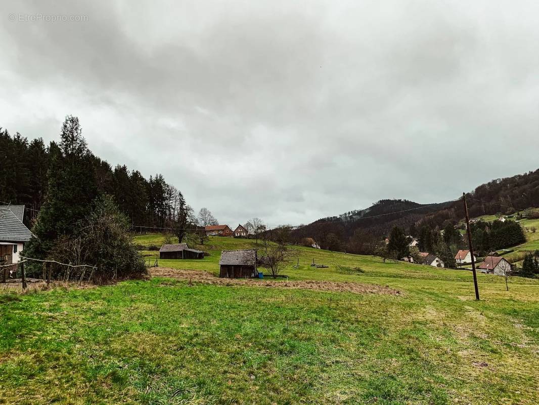 Terrain à WINDSTEIN