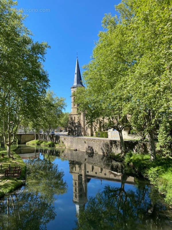 Appartement à SOUAL