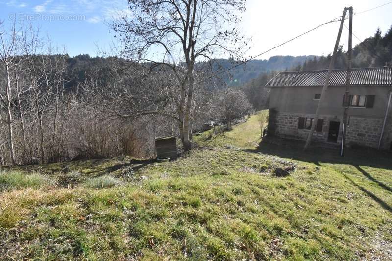 Maison à SAINT-JEURE-D&#039;ANDAURE