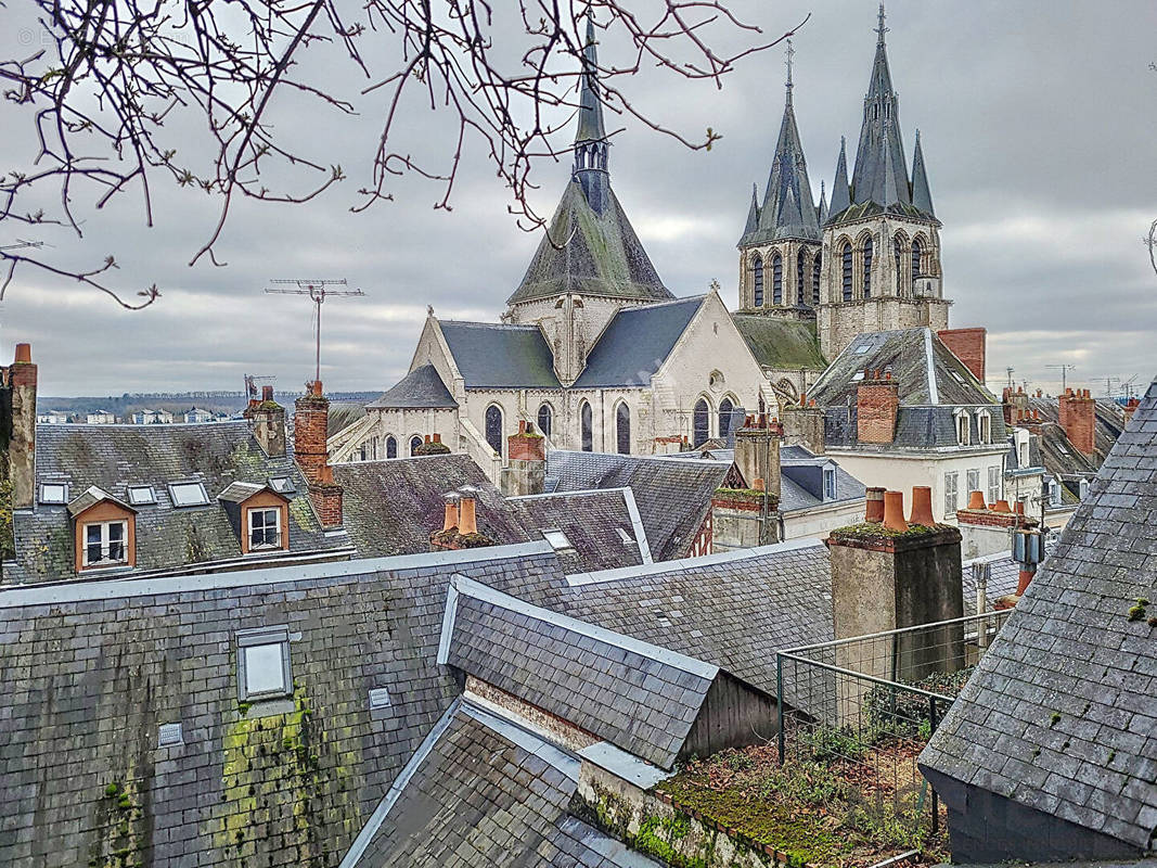 Commerce à BLOIS