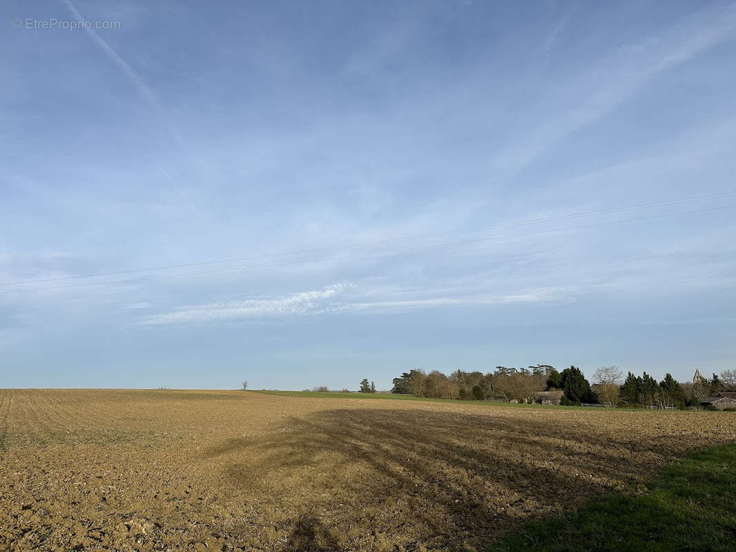 Terrain à BIVES