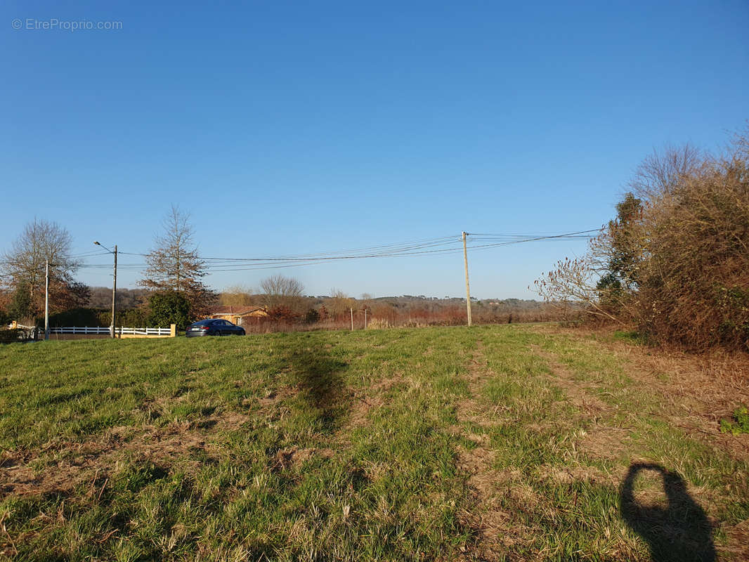 Terrain à SAINT-SEVER