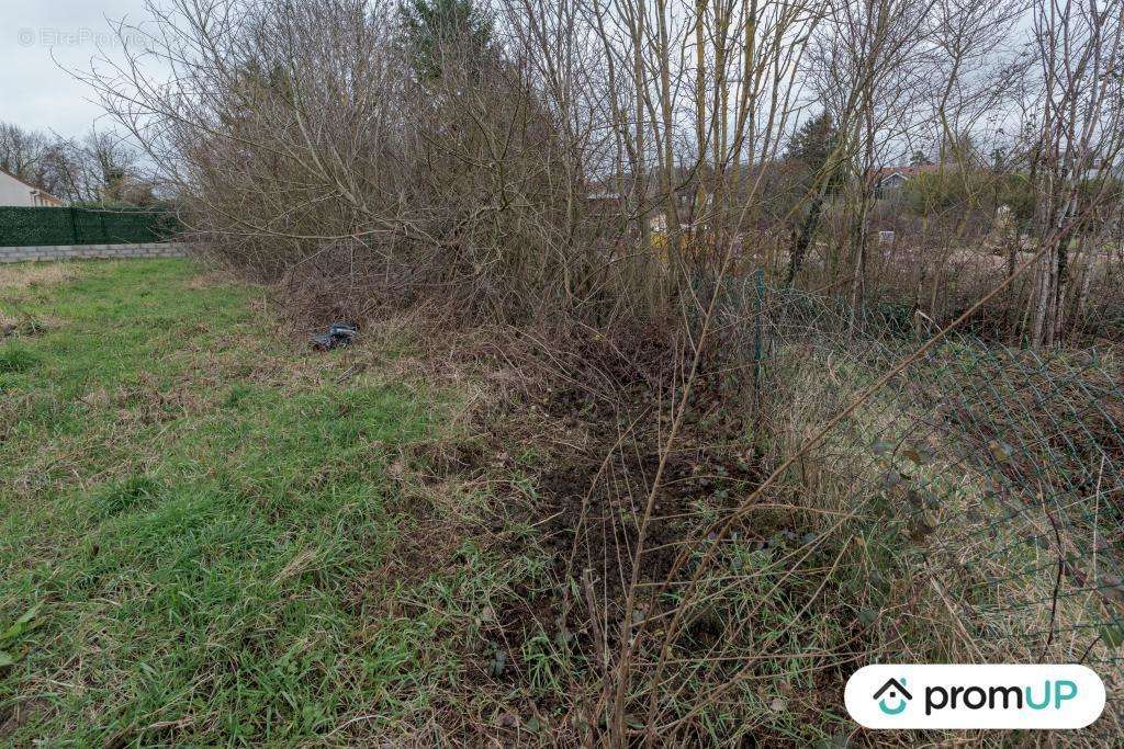 Terrain à MONTIGNY-LENCOUP