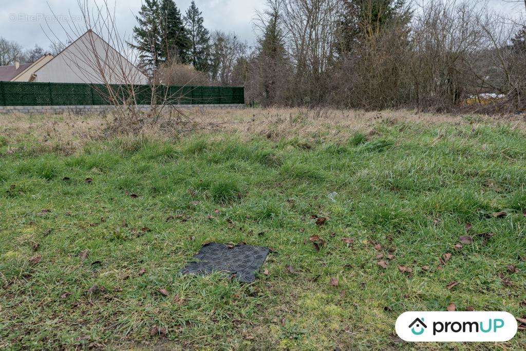 Terrain à MONTIGNY-LENCOUP