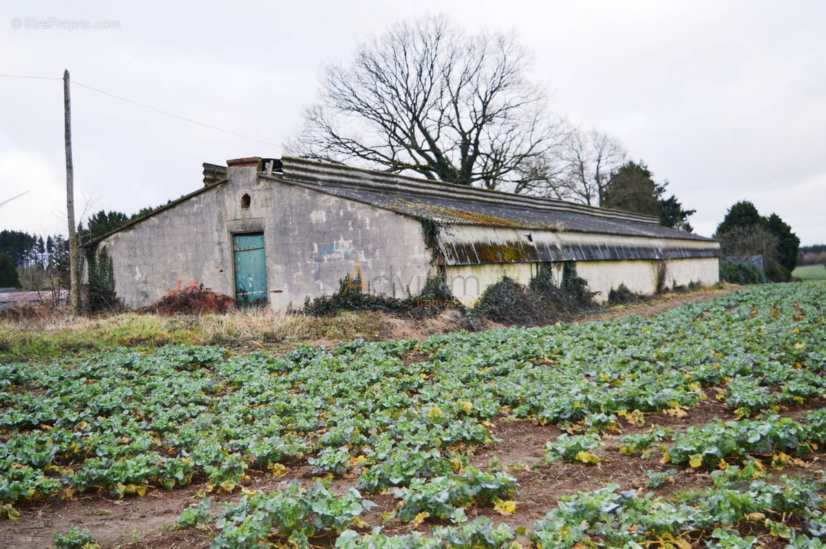 Commerce à CHAMPGENETEUX