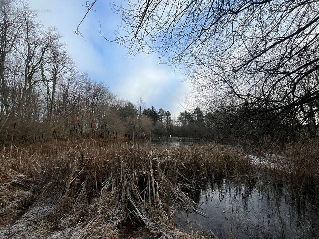 Terrain à ACHERES