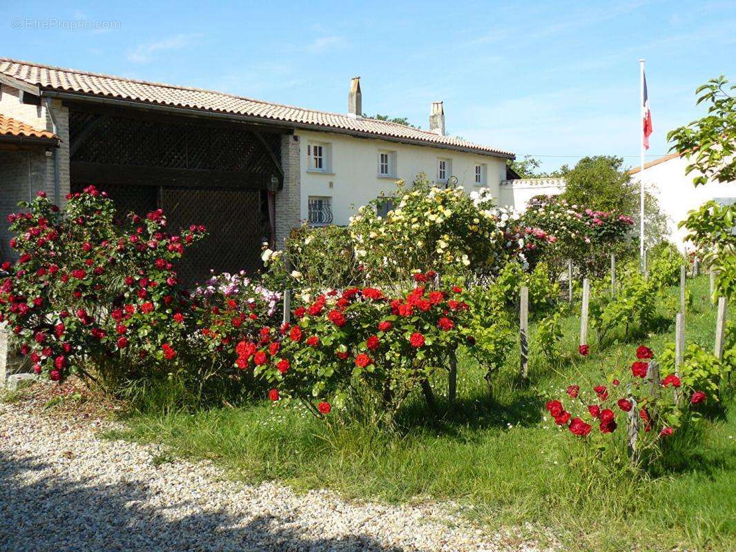 Maison à ARSAC