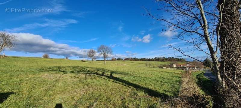 Terrain à CEZAY