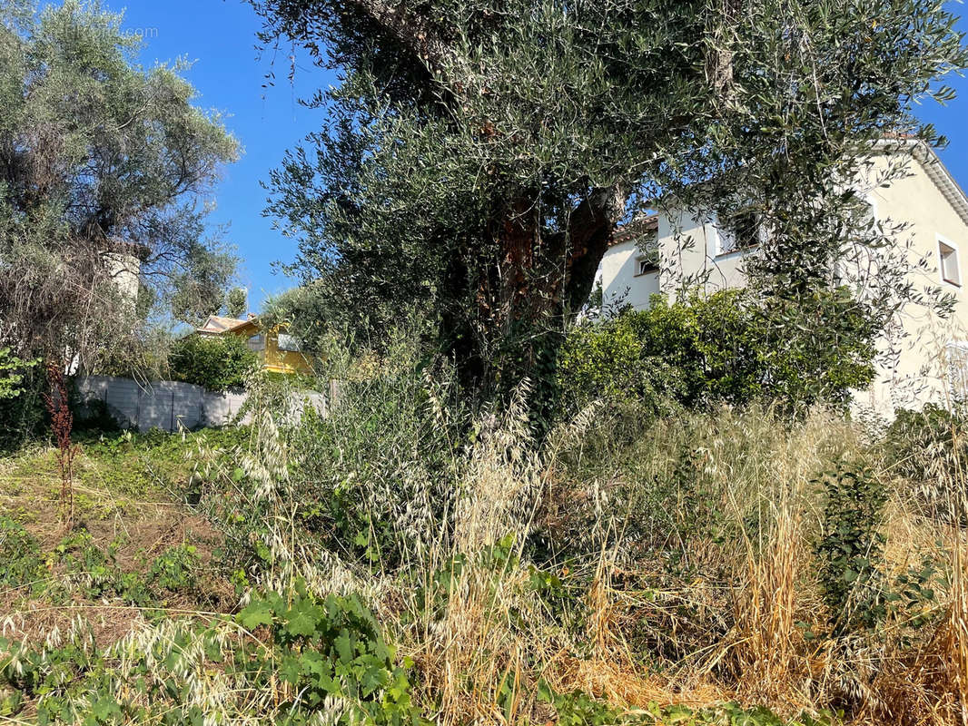 Terrain à VENCE