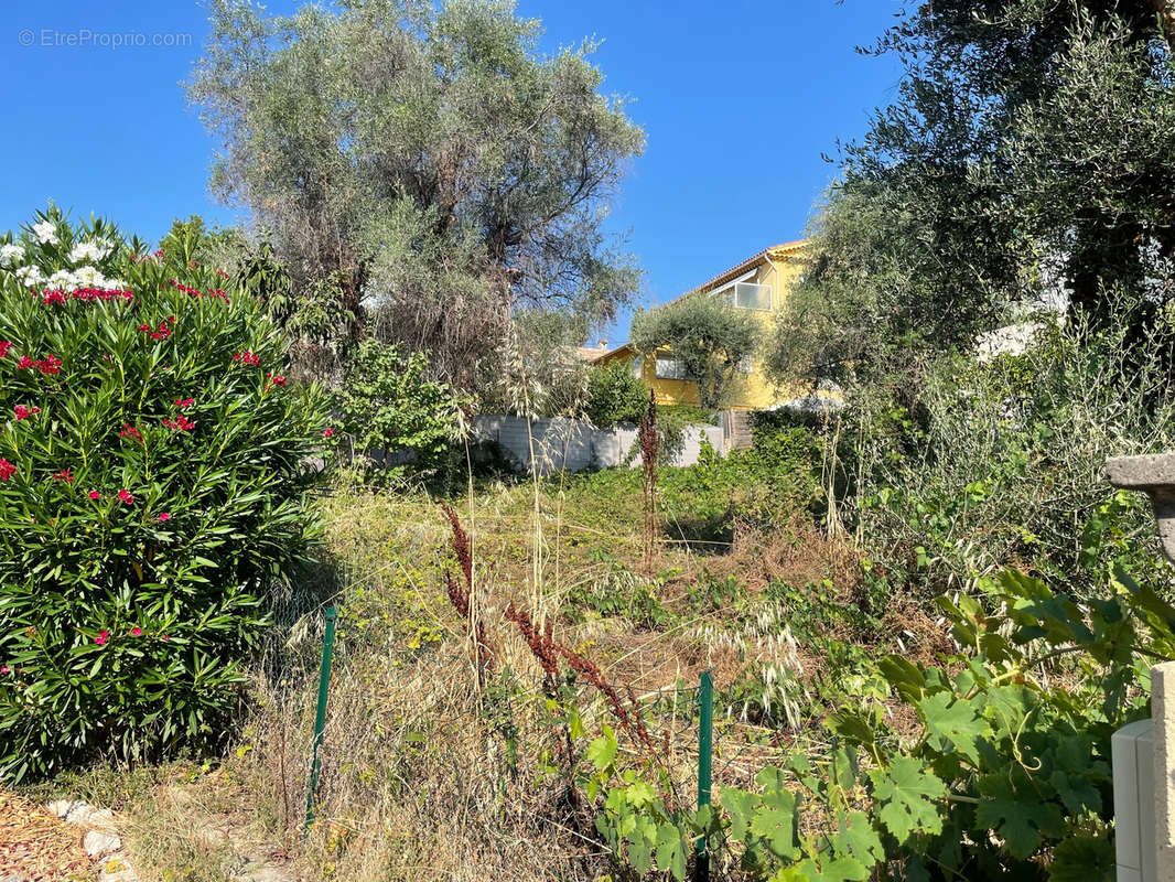 Terrain à VENCE