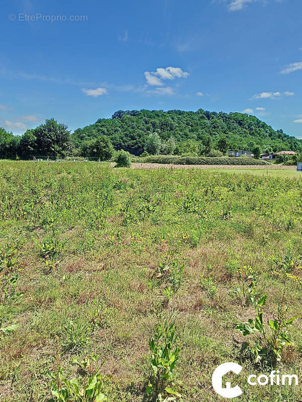 Terrain à ASSAT