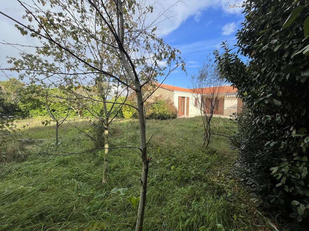 Maison à MESCHERS-SUR-GIRONDE