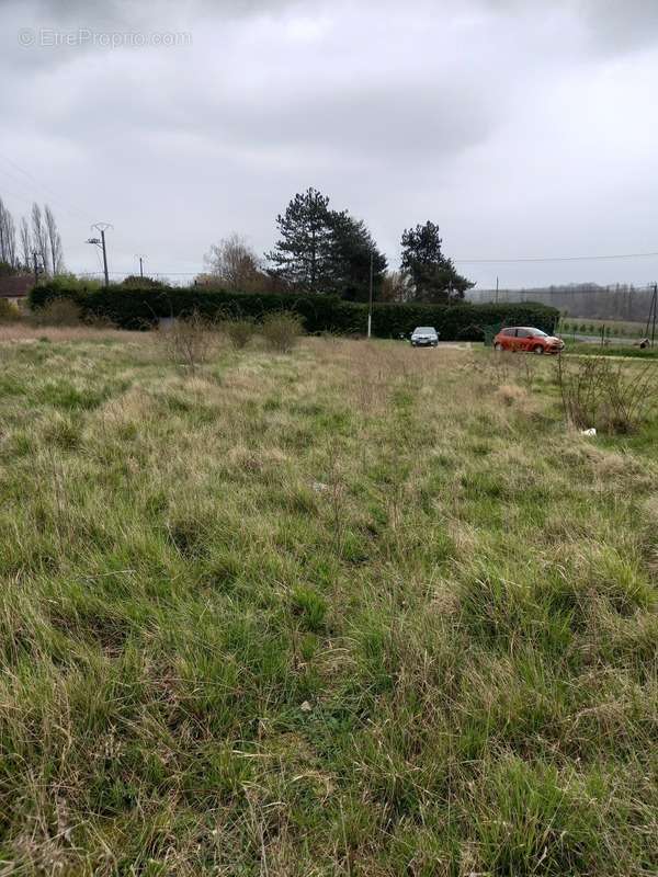 Terrain à LA SELLE-SUR-LE-BIED