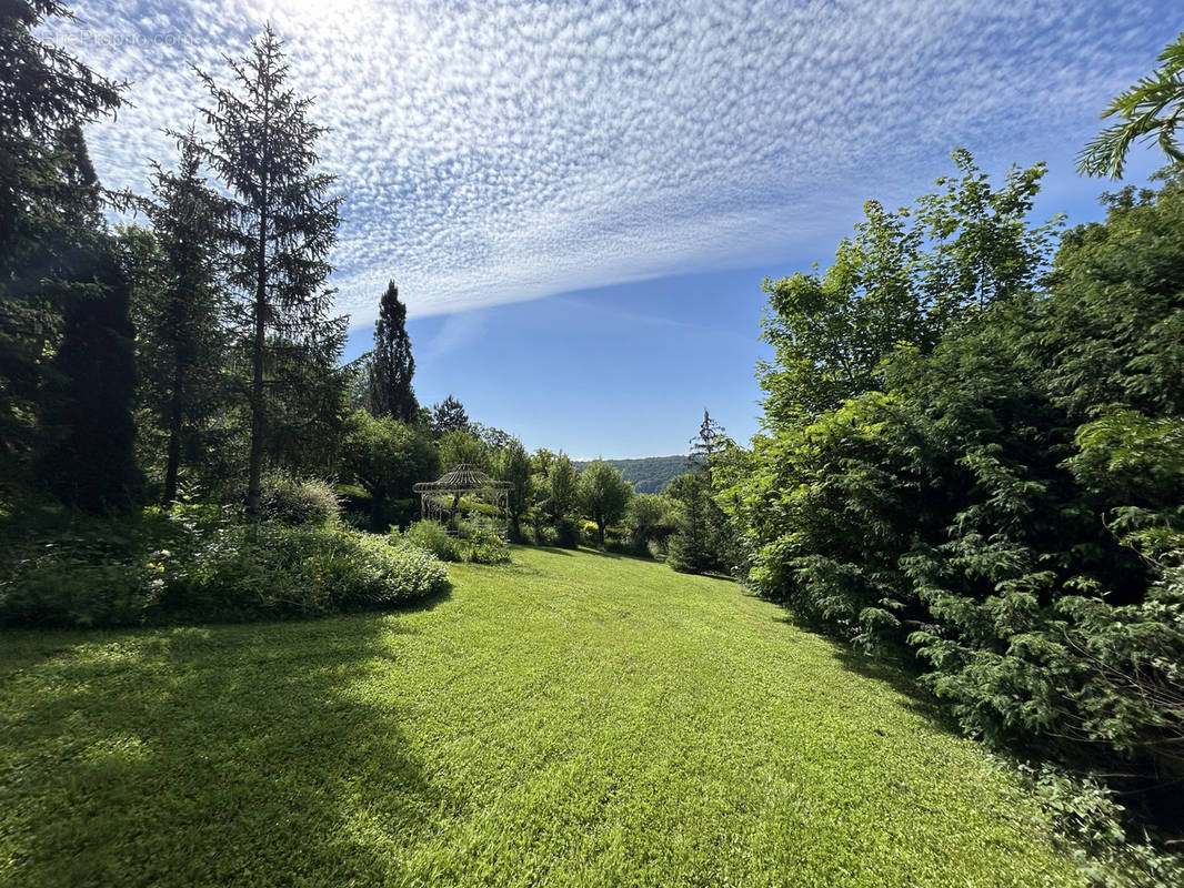 Terrain à VILLENEUVE-SUR-BELLOT