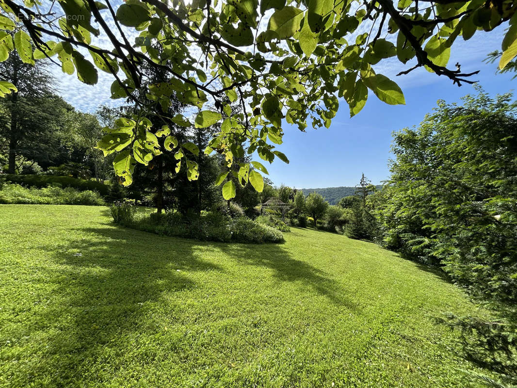 Terrain à VILLENEUVE-SUR-BELLOT