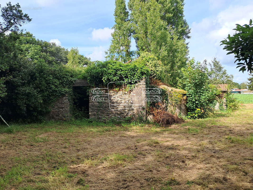 Maison à MAUVES-SUR-LOIRE