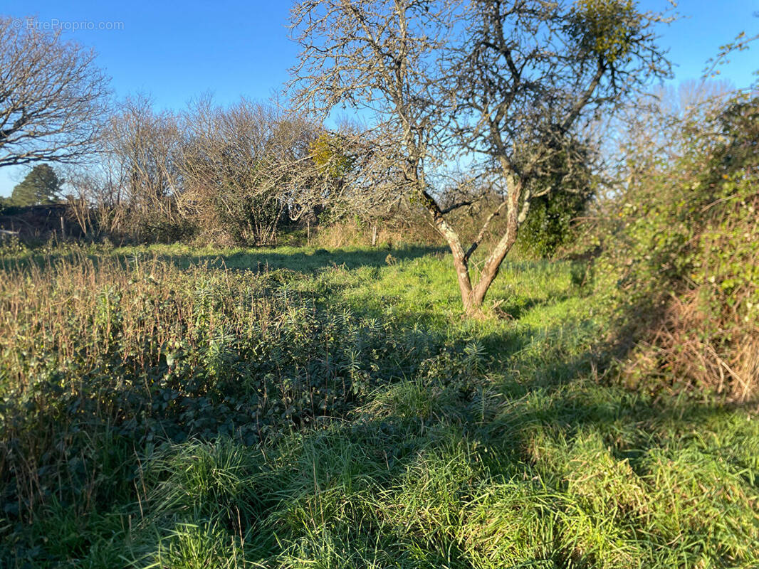 Terrain à SARZEAU