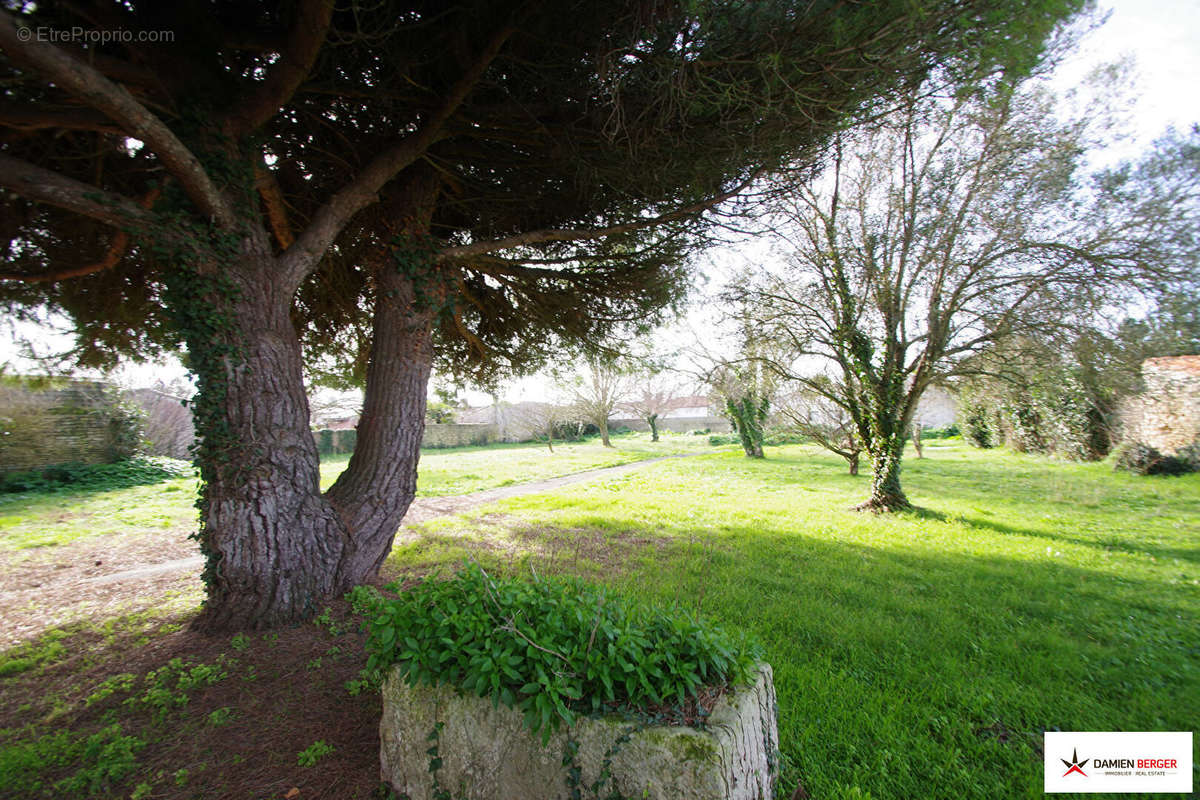 Maison à ARS-EN-RE