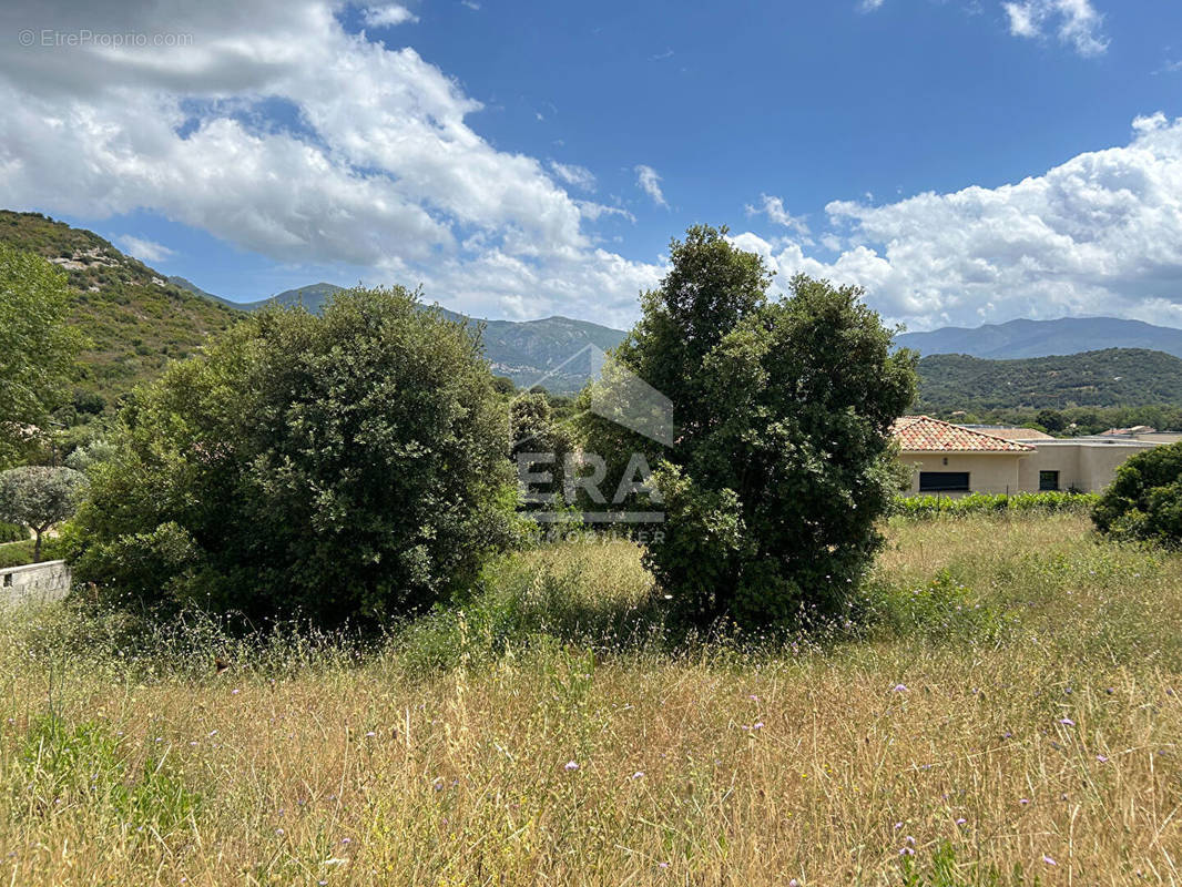 Terrain à OLETTA