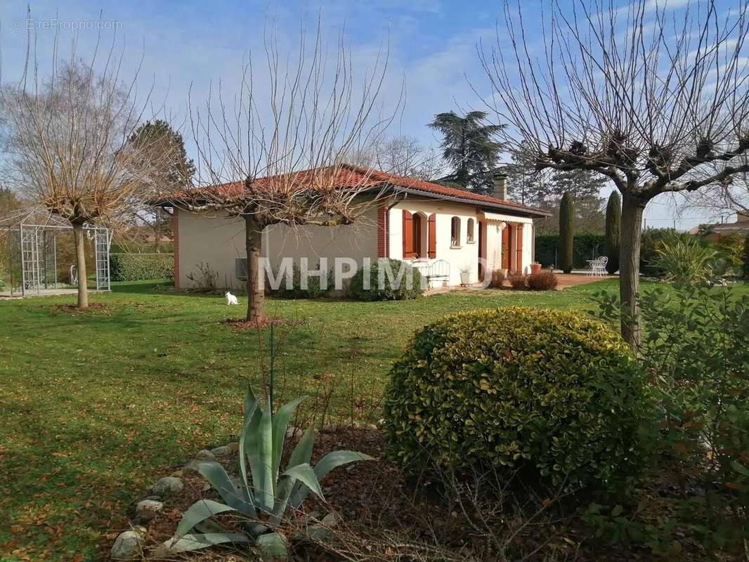 Maison à GAILLAC