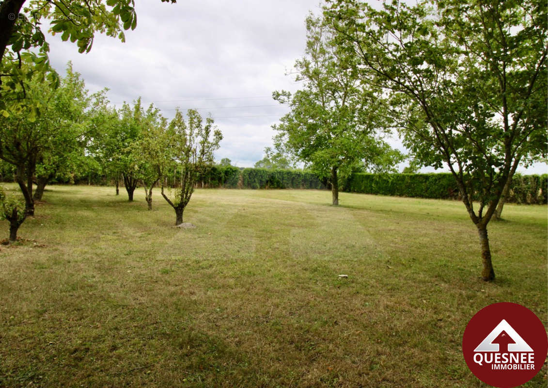 Terrain à FALAISE