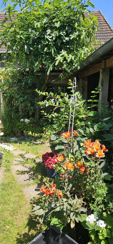 Autre à VERDUN-SUR-LE-DOUBS