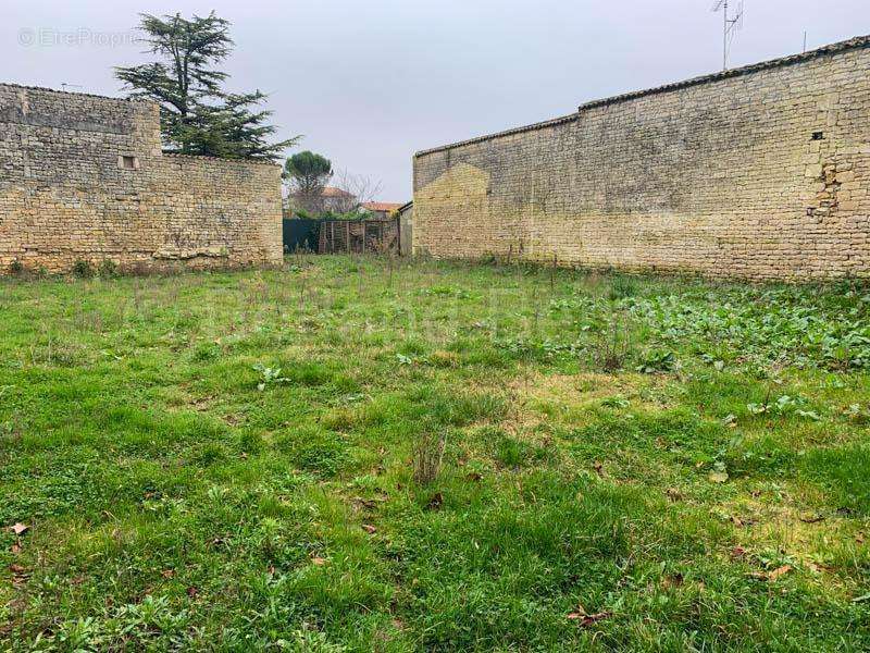 Maison à BRIOUX-SUR-BOUTONNE