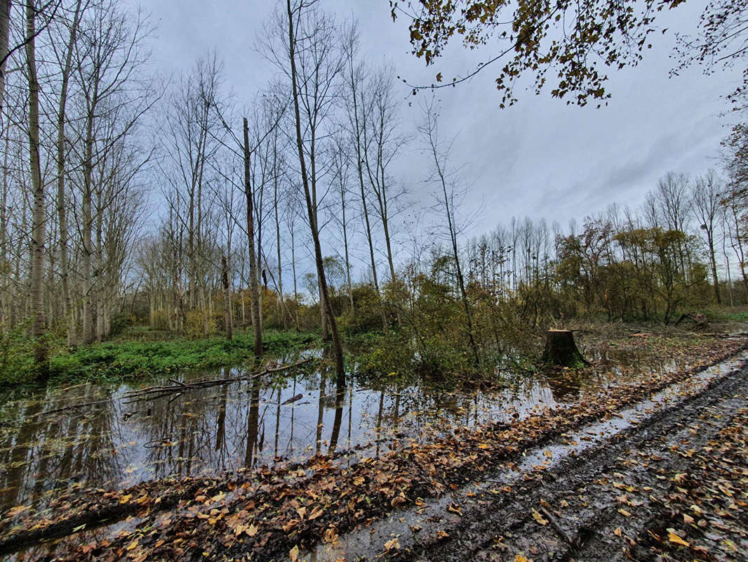 Terrain à BRISSY-HAMEGICOURT