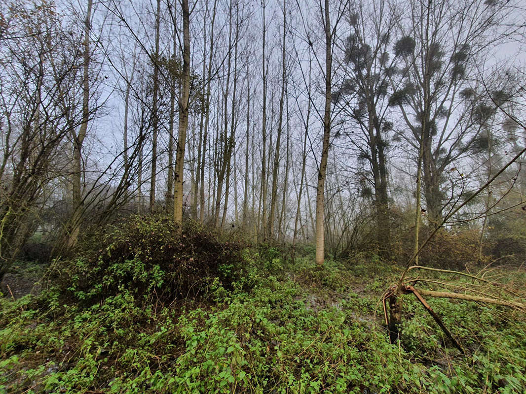 Terrain à BRISSY-HAMEGICOURT